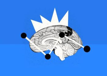 explorez les mystères du cerveau en septiembre preguntas