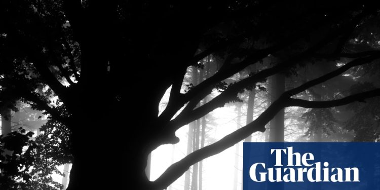 Los mejores crímenes y thrillers recientes: resumen de reseñas | Libros