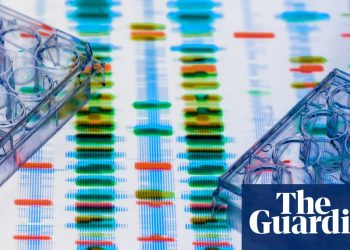 Reseña de The Divided Mind de Edward Bullmore: ¿sabemos ahora qué causa la esquizofrenia? | Libros de ciencia y naturaleza.