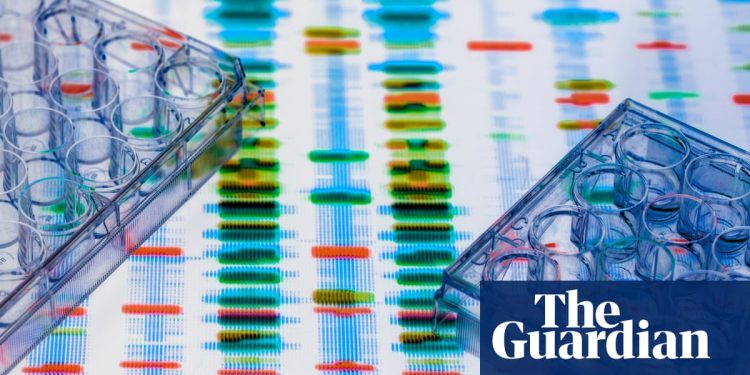 Reseña de The Divided Mind de Edward Bullmore: ¿sabemos ahora qué causa la esquizofrenia? | Libros de ciencia y naturaleza.