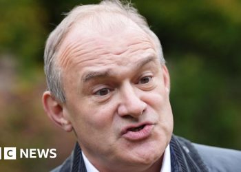 Los demócratas liberales escriben al organismo de control de derechos humanos sobre los retrasos electorales