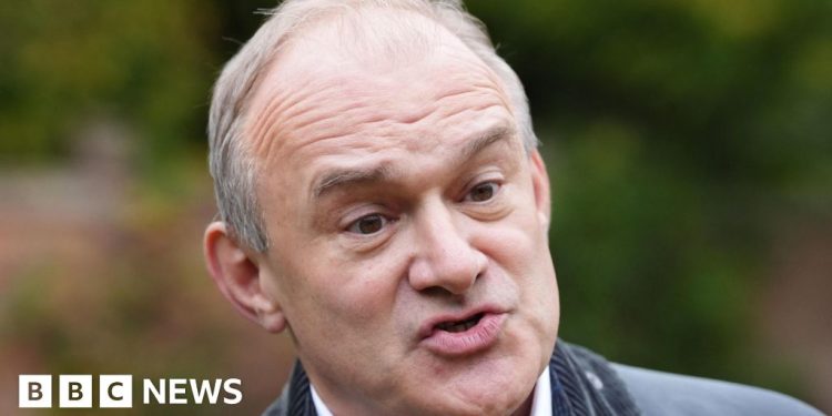 Los demócratas liberales escriben al organismo de control de derechos humanos sobre los retrasos electorales