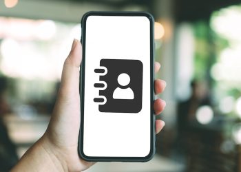 ¿Borró uno o todos sus contactos del celular por error? Así puedes recuperarlos paso a paso