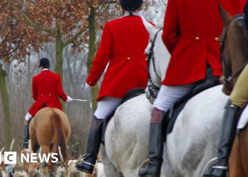 Se prohibirá la caza en senderos como parte de la nueva estrategia de bienestar animal