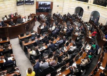 En sesión insólita, el Senado aprueba proposición para hacer control político a decreto de emergencia económica
