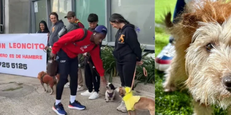 la campaña de Fortaleza CEIF en el encuentro con Santa Fe que conmovió a los hinchas