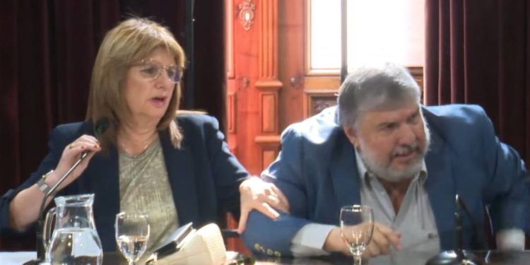 Escándalo entre Mayans y Patricia en el Senado: «hacen lo que se les cantan las pelotas»