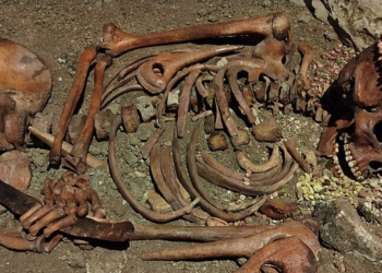 Un nuevo estudio revela que un 'príncipe' adolescente fue horriblemente mutilado por un oso hace 27.000 años en el norte de Italia
