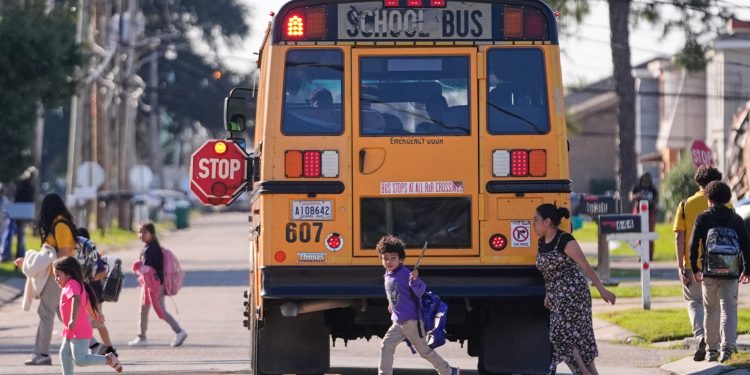 Ante el impulso de deportación de Trump, los profesores estadounidenses temen abandonar las aulas | Noticias de Donald Trump