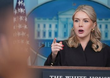 La madre del sobrino de Karoline Leavitt ataca al secretario de prensa después de la detención de ICE