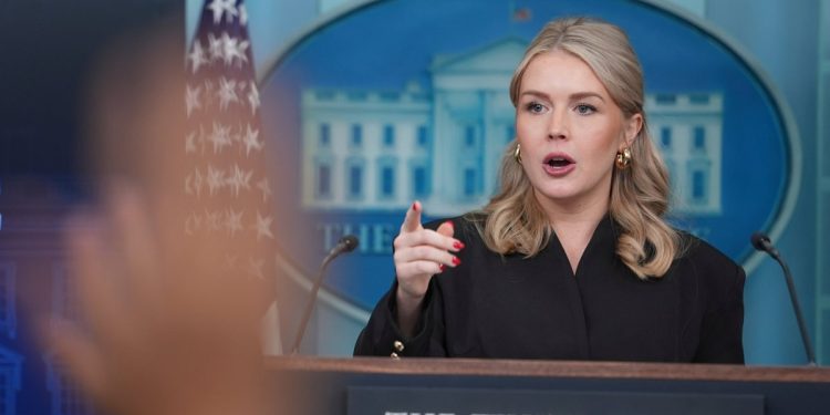 La madre del sobrino de Karoline Leavitt ataca al secretario de prensa después de la detención de ICE