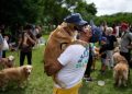 Una sinfonía de guau: esto es lo que pasa cuando 2.397 golden retrievers se reúnen en un parque de Argentina