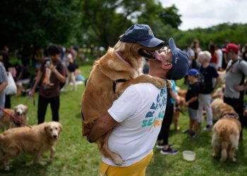 Una sinfonía de guau: esto es lo que pasa cuando 2.397 golden retrievers se reúnen en un parque de Argentina
