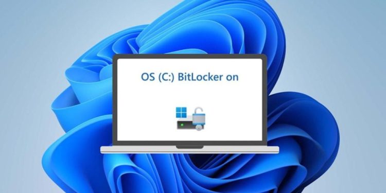 Microsoft despliega el BitLocker acelerado por hardware