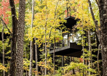 Dentro del enfoque de bienestar centrado en el arte de Blackberry Mountain