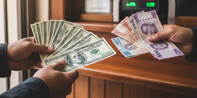 Precio del Dólar en México hoy, 12, 13 y 14 de diciembre de 2025: cuánto está el USD en MXN | REVISTA