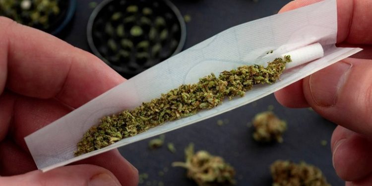 Incluso el uso ocasional de cannabis se vincula a peores notas.