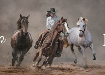 Auténticos Paseos a Caballo en la Patagonia