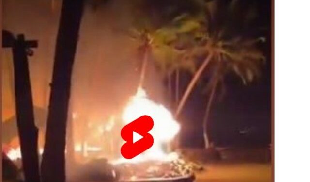 Vídeo – Incendio en Mahahual acaba con 50 palapas en la zona de playas