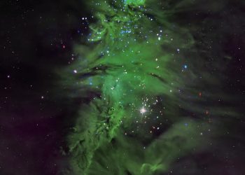 La NASA muestra un 'árbol de Navidad' estelar a 2.500 años luz de la Tierra