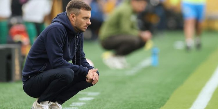 Botafogo contrata al técnico argentino Anselmi – Fútbol Internacional