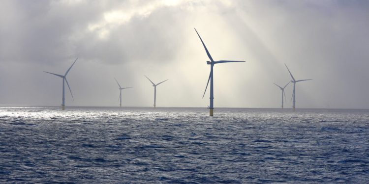 Estados Unidos bloquea toda construcción de energía eólica marina, dice que el motivo es secreto