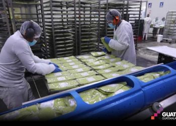 cómo exportar productos con valor agregado a nuevos países