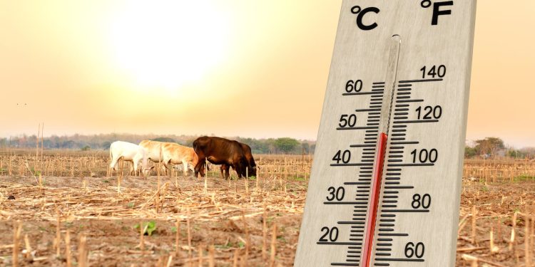 ¿Qué puede hacerse para reducir el impacto del cambio climático en la salud?