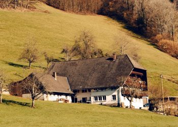 Una nueva cara de la Selva Negra: desde relojes de cuco de diseño hasta baños revitalizados