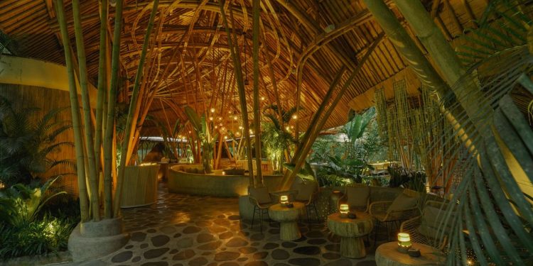 23 mejores restaurantes en Bali para disfrutar de mariscos después del surf, menús de degustación veganos y clásicos indonesios