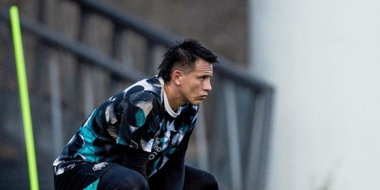 Dos caminos, ¿cuál recorrer? el Año Nuevo franjeado – Olimpia