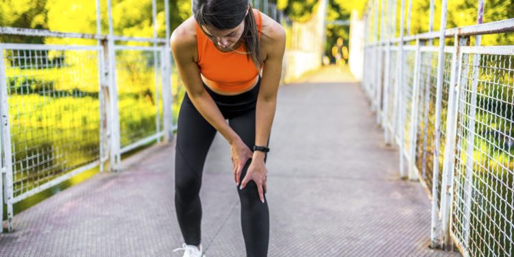 El éxito de supervivencia de un menisco trasplantado.