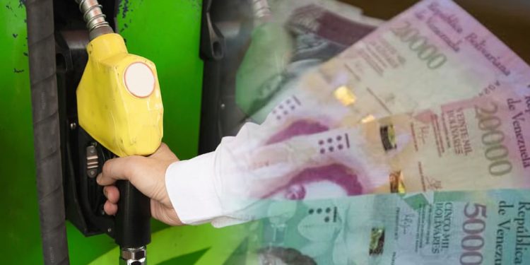 Gasolina subsidiada: revisa el calendario oficial para llenar tu tanque el 2 y 3 de diciembre | RESPUESTAS