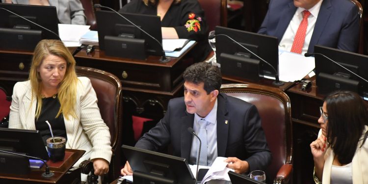 Whos son los senadores peronistas que apoyaron con su voto al primer Presupuesto de la era Milei