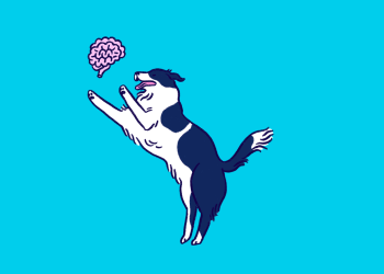 Cómo recuperar tu mente