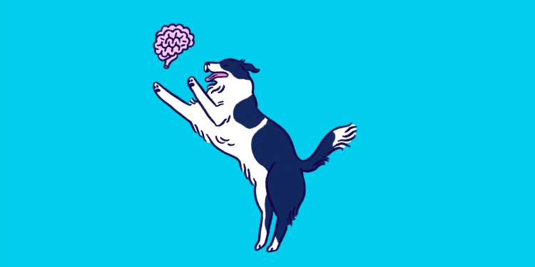 Cómo recuperar tu mente