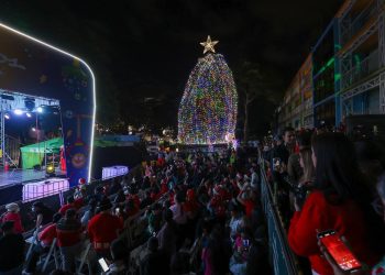 Hospital de Niños enciende su árbol navideño: 20.000 luces led iluminan gigante de 20 metros