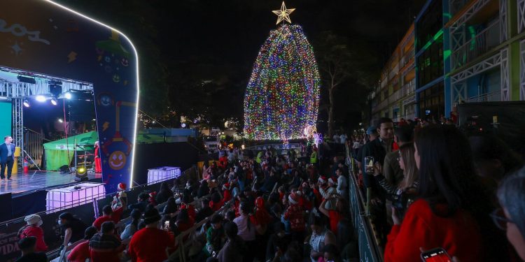 Hospital de Niños enciende su árbol navideño: 20.000 luces led iluminan gigante de 20 metros