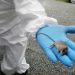 Hantavirus en Panamá: 18 casos en 2025 sin muertes, en medio de una alerta de la OPS