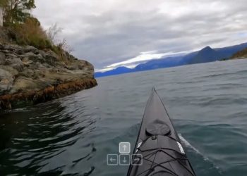 Con la familia GWM-1 de “modelos mundiales”, Runway muestra ambiciones más allá de Hollywood