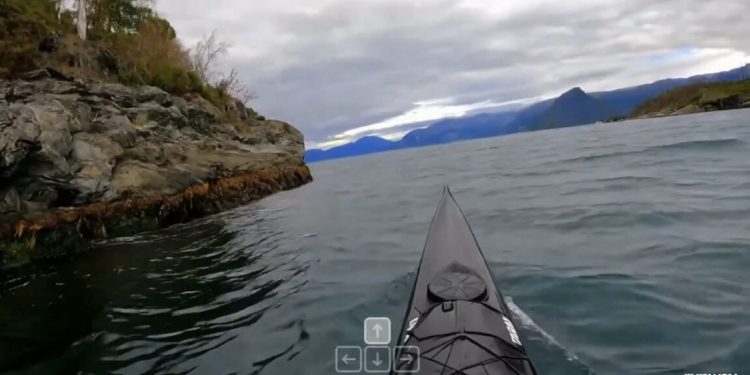 Con la familia GWM-1 de “modelos mundiales”, Runway muestra ambiciones más allá de Hollywood