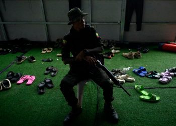 Estafas globales, desde la matanza de cerdos en el sudeste asiático hasta las «viudas negras» de Rusia