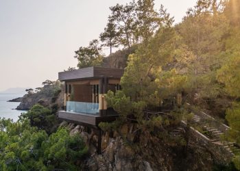 Explorando el papel de la conexión humana en el bienestar moderno