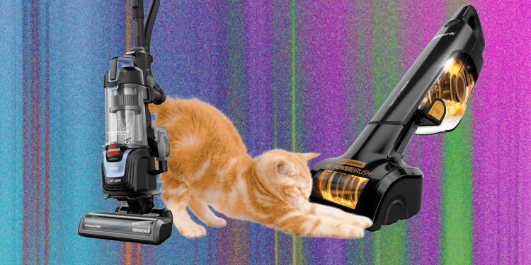 La mejor aspiradora para pelo de mascotas: probamos muchas para descubrir cuál funciona mejor (2026)