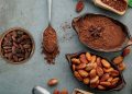¿Tiene el chocolate la clave contra el envejecimiento? Un estudio ofrece pistas sorprendentes sobre los compuestos del cacao.