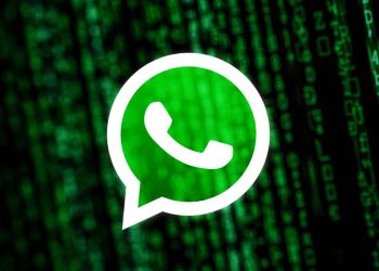 El paquete malicioso npm roba cuentas y mensajes de WhatsApp