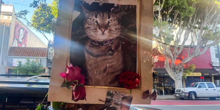 Waymo se enfrenta a preocupaciones de seguridad y competencia a medida que se expande en EE. UU. | Industria automotriz