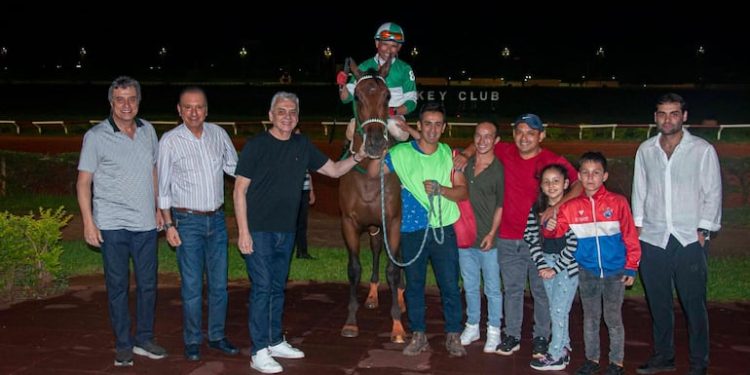 Estadísticas 2025 del turf: Un domingo de definiciones – Polideportivo