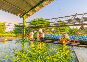 Mintrab llama a integrar comisiones paritarias para fijar salario mínimo del 2027 y 2028