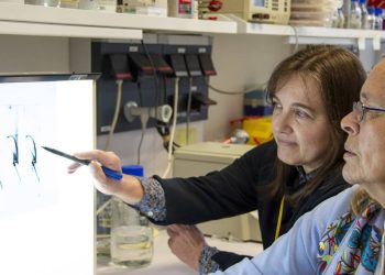 Investigadores encuentran la clave de la resistencia antibiótica del neumococo.